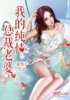 我的纯情总裁老婆 夜男子