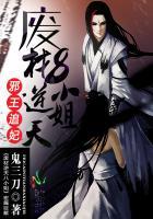 免费全本邪王追妻