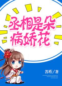 丞相的病弱妻简介