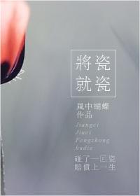 将瓷就瓷讲的是什么