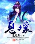 息壤中文网网页版